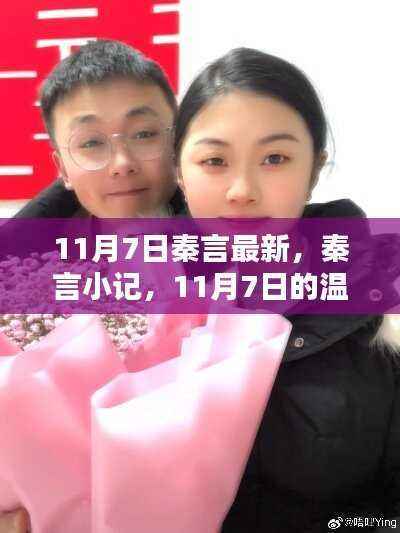 11月7日秦言小记,温馨日常的新篇章