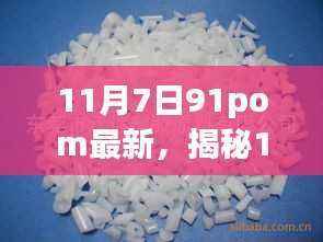 揭秘,11月7日91pom最新动态与背景回顾,重大事件及其深远影响