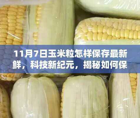科技新纪元揭秘,最新鲜玉米粒保存神器,如何保持玉米粒新鲜如初(11月7日指南)