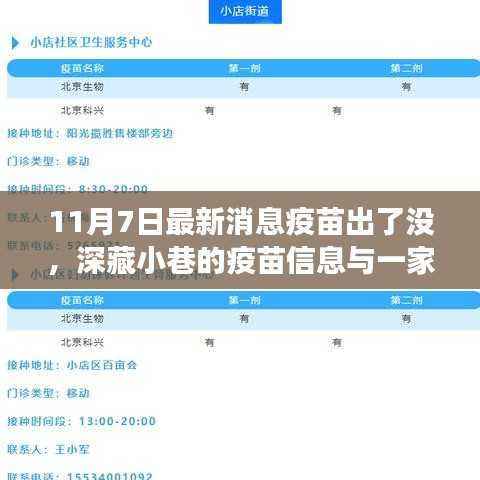 深藏小巷的独特小店揭示疫苗最新消息,11月7日疫苗进展揭秘