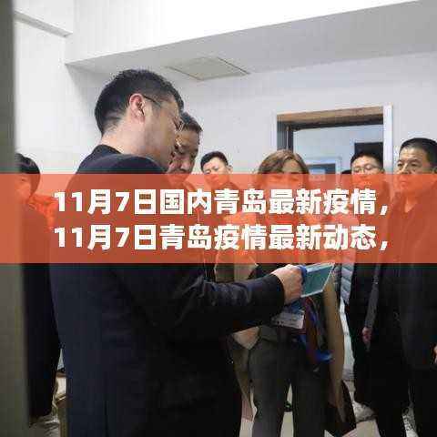 青岛疫情最新动态,防控进展与关键信息解读(截至11月7日)