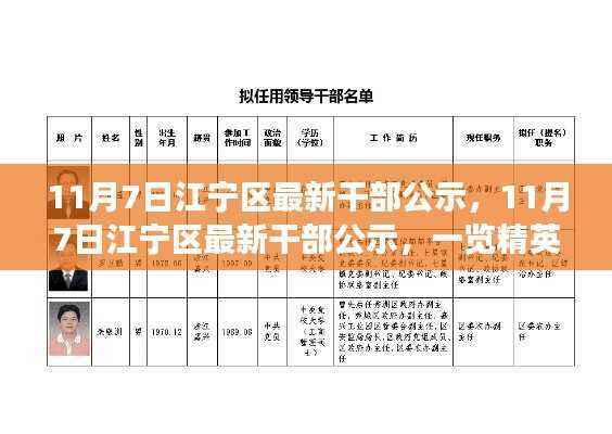 11月7日江宁区干部公示,精英荟萃,共筑发展新篇章