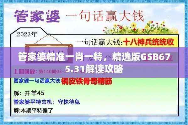 管家婆精准一肖一特,精选版GSB675.31解读攻略
