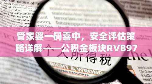 管家婆一码喜中,安全评估策略详解——公积金板块RVB978.66