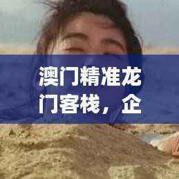 澳门精准龙门客栈,企业版XJT147.51安全策略深度解析