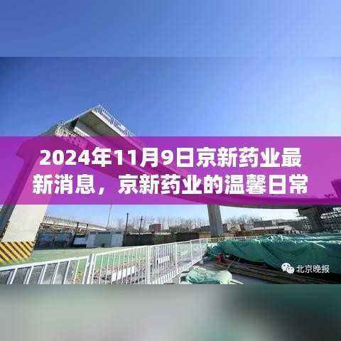 京新药业最新消息揭秘,日常温馨与深厚友情的奇妙际遇(2024年11月9日)