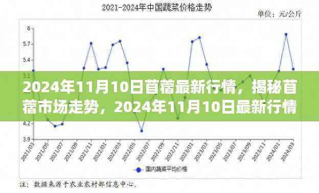 揭秘苜蓿市场走势,最新行情解读与预测(2024年11月10日)