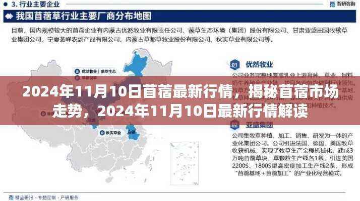 揭秘苜蓿市场走势,最新行情解读与预测(2024年11月10日)
