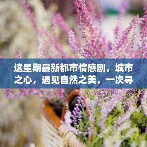 城市之心,遇见自然之美——都市情感剧新篇章