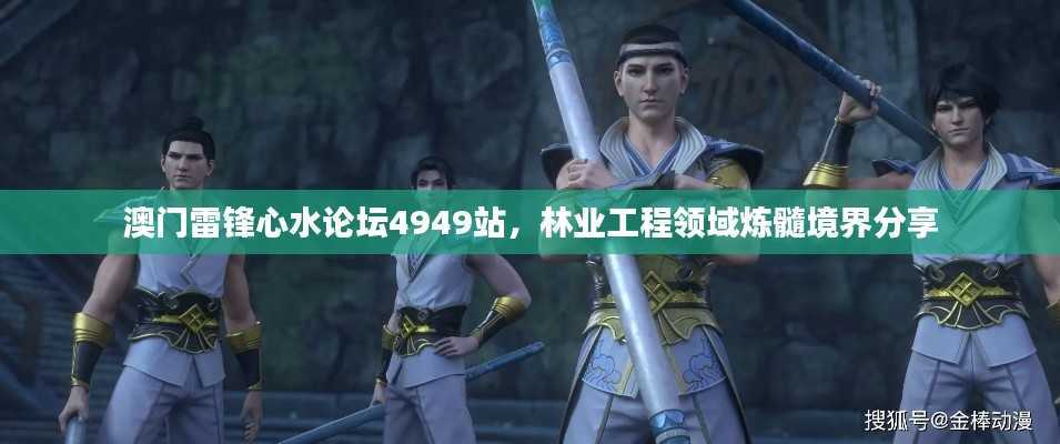 澳门雷锋心水论坛4949站,林业工程领域炼髓境界分享