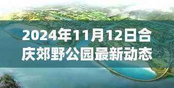 合庆郊野公园未来发展规划下的最新动态解析(2024年11月12日)