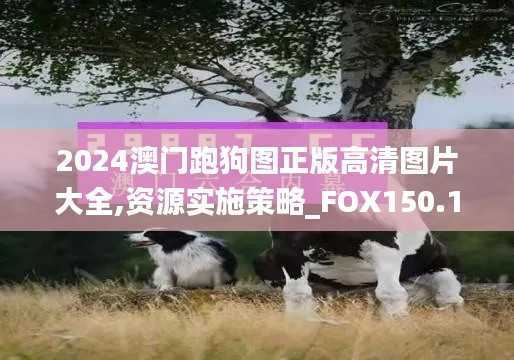 2024澳门跑狗图正版高清图片大全,资源实施策略_FOX150.15尊脉境