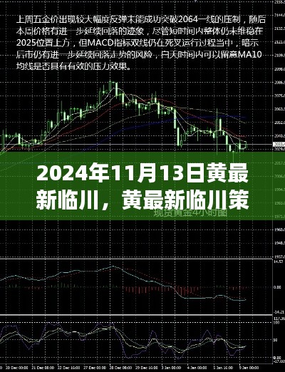 黄最新临川策略深度解析与观点阐述,2024年11月13日最新观察