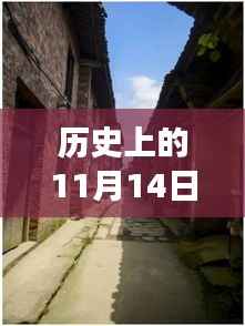 揭秘历史背景与最新动态,增城新塘房价趋势与独特小巷宝藏小店探访