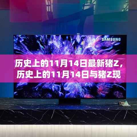 历史上的11月14日与猪Z现象,深度解析与观点阐述