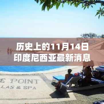 11月14日印度尼西亚自然秘境之旅,探寻内心宁静与自然笑声的旅程