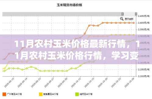 11月农村玉米价格最新动态,行情变化中学习成长,收获自信与成就感