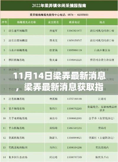 梁弄最新消息获取指南,掌握关键信息的步骤与指南(11月14日更新)