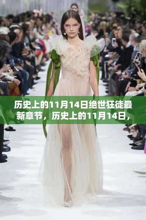 历史上的11月14日,绝世狂徒最新章节揭秘