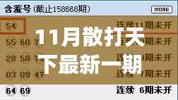 11月散打天下实战技能进阶指南,从入门到高手的必经之路
