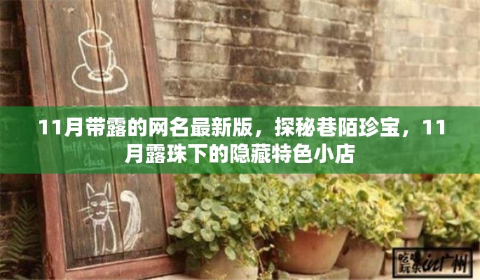11月露珠下的巷陌珍宝,探秘隐藏特色小店