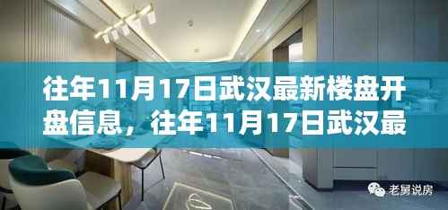 武汉历年11月17日最新楼盘开盘信息深度解析及解析报告
