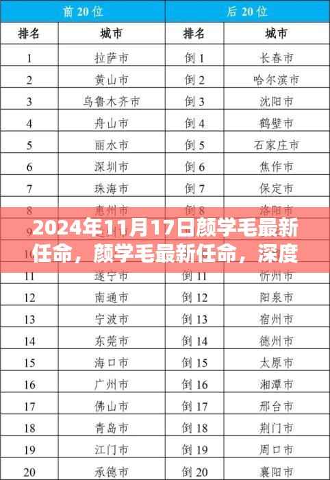 颜学毛最新任命揭晓,深度评测与详细介绍