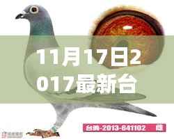深度剖析,台鸽展翅背后的背景、事件与影响——2017年台鸽最新动态解析