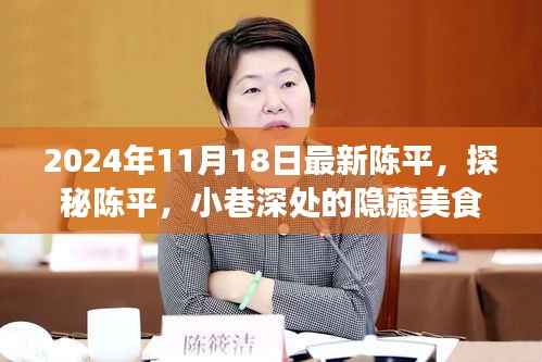 探秘陈平小巷深处的隐藏美食宝藏(2024年11月18日最新)