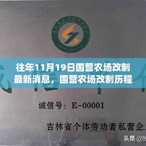 历年11月19日国营农场改制进展与深远影响,最新消息与历程回顾