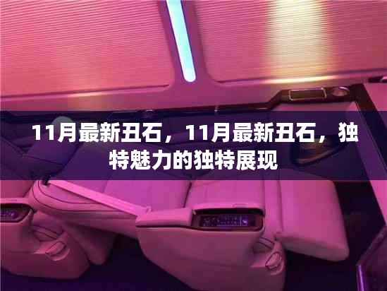 11月最新丑石,独特魅力的独特展现