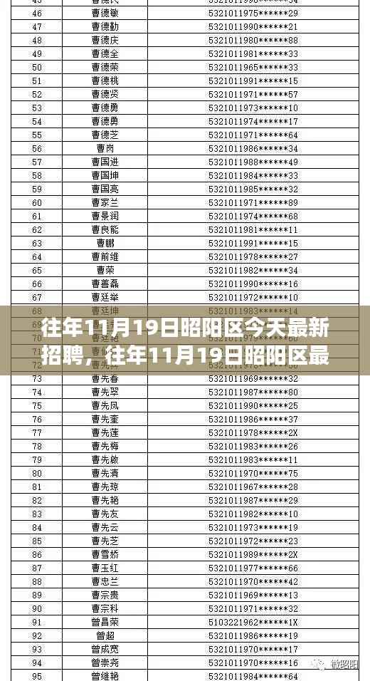 往年11月19日昭阳区招聘活动深度解析,特性、体验、竞品对比及用户洞察