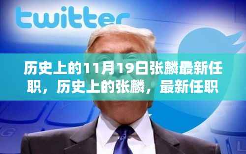 揭秘张麟,历史上的重要时刻与最新任职深度解析