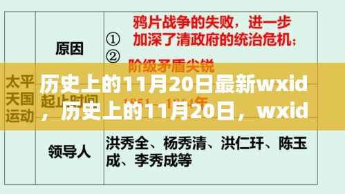 历史上的11月20日,多维度视角探讨wxid背后的故事