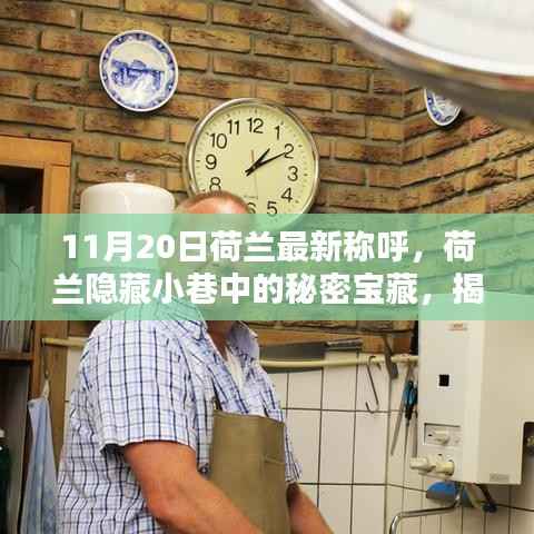 荷兰隐藏小巷中的独特宝藏,揭秘最新称呼的神秘小店(11月20日)