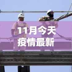 11月国内最新疫情数据报告,动态分析与聚焦要点