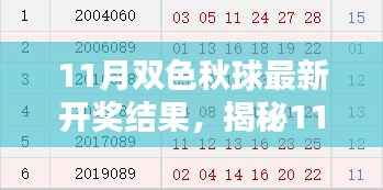 11月双色秋球最新开奖结果,揭秘11月双色秋球最新开奖结果——新手入门指南