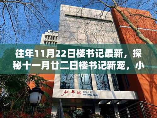 探秘十一月廿二日楼书记新宠,小巷独特风味宝藏揭秘