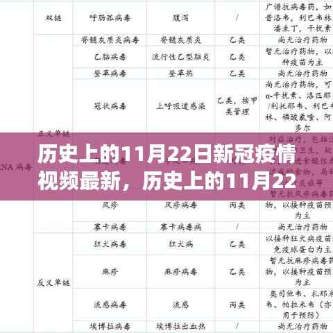 历史上的11月22日新冠疫情视频更新,多维度解读疫情动态