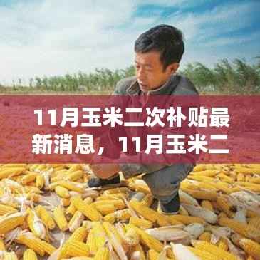 11月玉米二次补贴最新消息,11月玉米二次补贴申领全攻略,一步步教你如何申请最新补贴