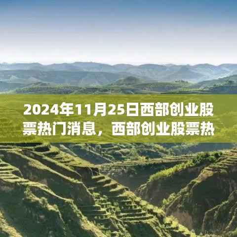 2024年11月25日西部创业股票热门消息回顾与洞察,揭秘股票动态