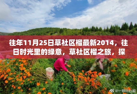 草社区榴之旅,探寻心灵与自然和谐共生的奇妙体验,往日绿意的探寻之旅