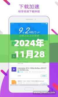 最新迅雷会员账号共享指南,解锁高速下载体验(2024年11月28日更新)