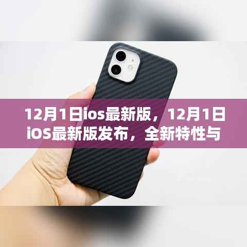 12月1日iOS最新版发布,全新特性与用户体验革新揭秘