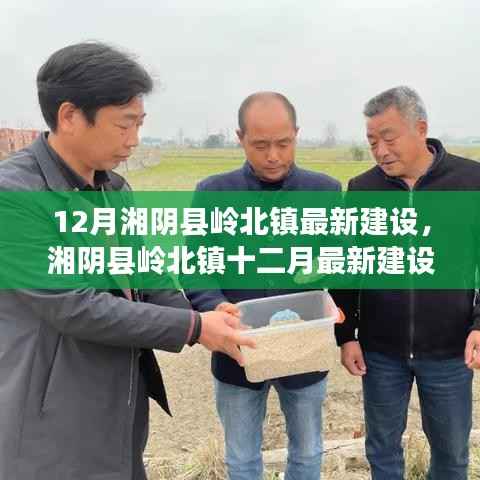 湘阴县岭北镇12月最新建设进展,深度分析与观点阐述,影响展望