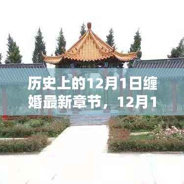 12月1日缠婚温情纽带,历史回顾与日常点滴