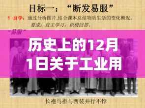 绿色启程,工业用地新政策与心灵之旅的双重纪念日回溯