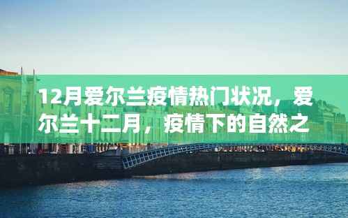 爱尔兰十二月疫情下的自然之旅,寻找心灵宁静与欢笑的旅程