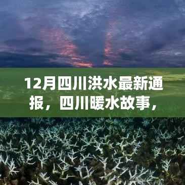 四川洪水温情纪实,暖水故事中的友情闪耀与日常温情