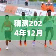 友情与陪伴的奇妙时光,预测好多鱼热门,展望2024年12月2日的温馨故事
